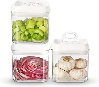 Large 5-inch Airtight Food Storage Container