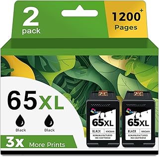 Black Ink Cartridge Replacement for HP 65 (2 Pack)