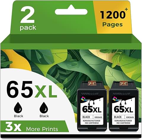 Black Ink Cartridge Replacement for HP 65 (2 Pack)