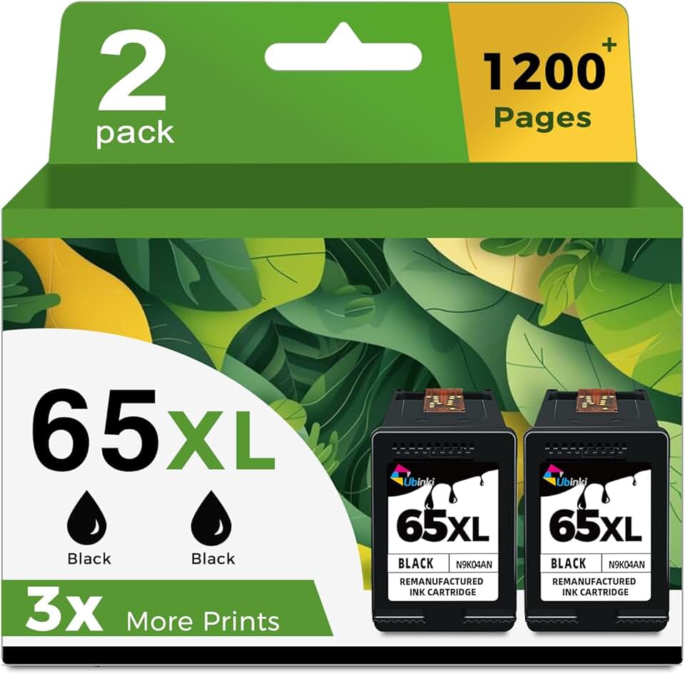 Black Ink Cartridge Replacement for HP 65 (2 Pack)