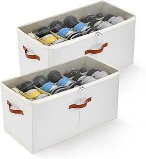 Two Large Foldable Shoe Storage Boxes with Dividers