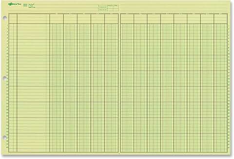 Green Eye-Ease Paper Analysis Pad, 13 Columns, 50 Sheets