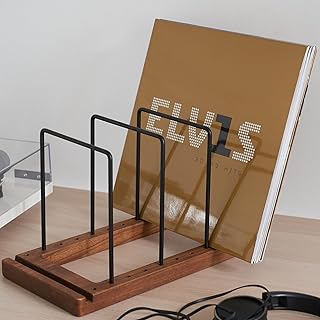 Decorative Vinyl Record Storage for Up to 75 Records