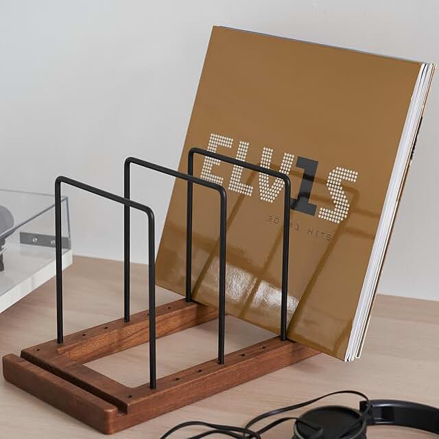Decorative Vinyl Record Storage for Up to 75 Records