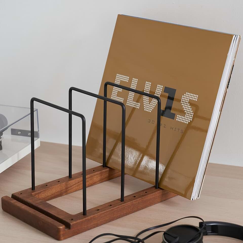 Decorative Vinyl Record Storage for Up to 75 Records