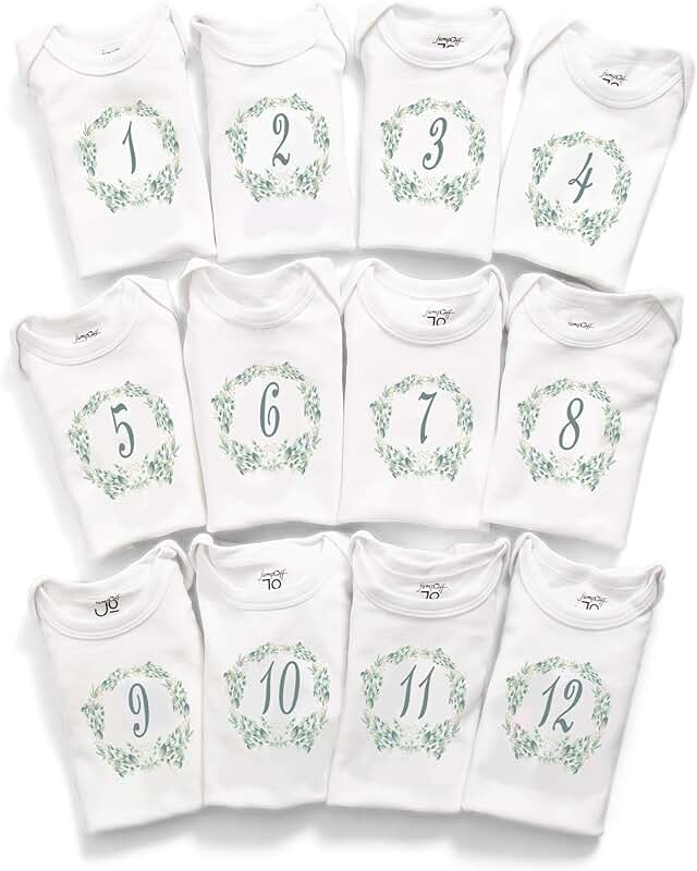 Baby milestone onesie set with numbers from 1 to 12