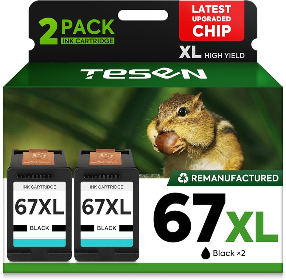 Black Remanufactured Ink Cartridge for HP Printers 2-Pack