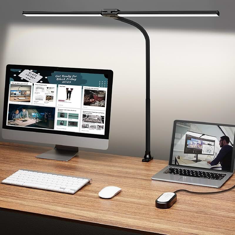 Bright Double Head Desk Lamp with Clamp and Adjustable Light