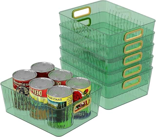 Set of 6 Clear Plastic Storage Bins
