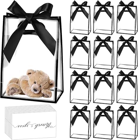 24 Clear Plastic Gift Bags with Handles and Ribbons