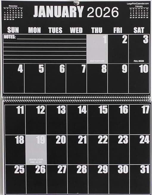 High-Contrast Invert Wall Calendar, 19 Months, Large Print