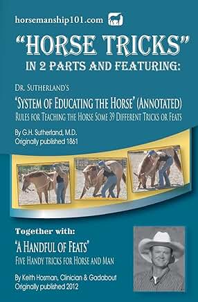 Horse Tricks in Two Parts and Training Tips