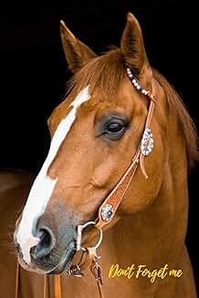 Horse Password Logbook with Alphabetical Tabs