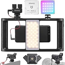 Stereo Dual Shotgun Microphone with Video Light and Rig