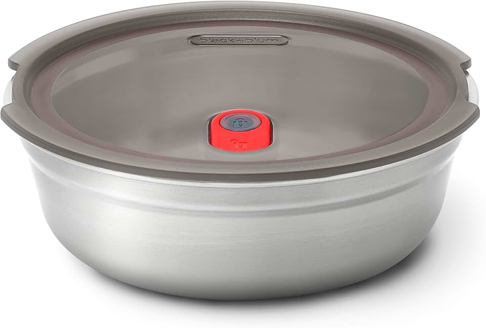 Reusable stainless steel lunch bowl for picnic and camping