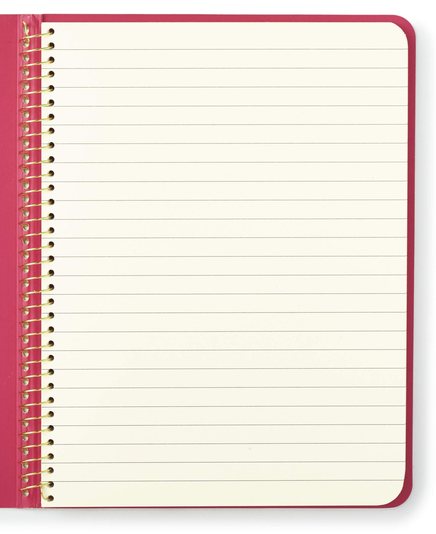 Gold Dots Spiral Notebook