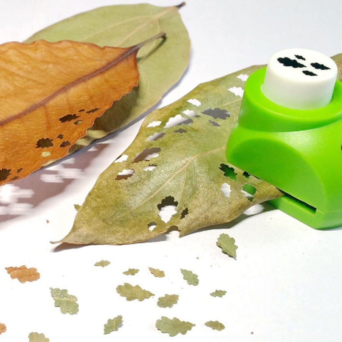 Leaf Punch DIY Tool with 8 Sheets for Crafting