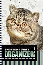 Hourly planner with cat art cover