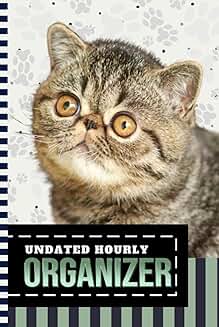 Hourly planner with cat art cover
