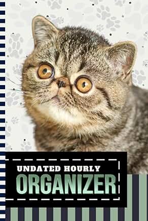 Hourly planner with cat art cover
