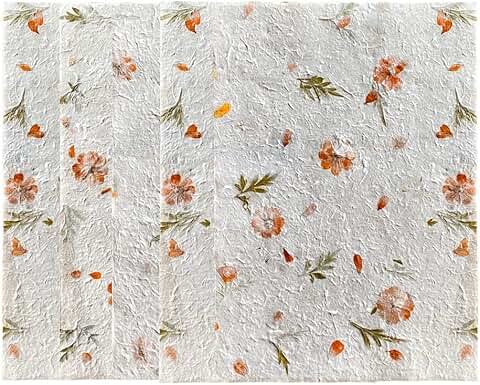 Large Handmade Natural Flower and Leaf Sheets for Crafts