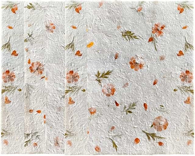 Large Handmade Natural Flower and Leaf Sheets for Crafts