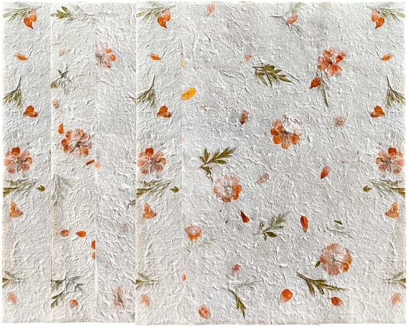 Large Handmade Natural Flower and Leaf Sheets for Crafts