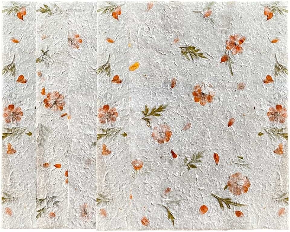 Large Handmade Natural Flower and Leaf Sheets for Crafts