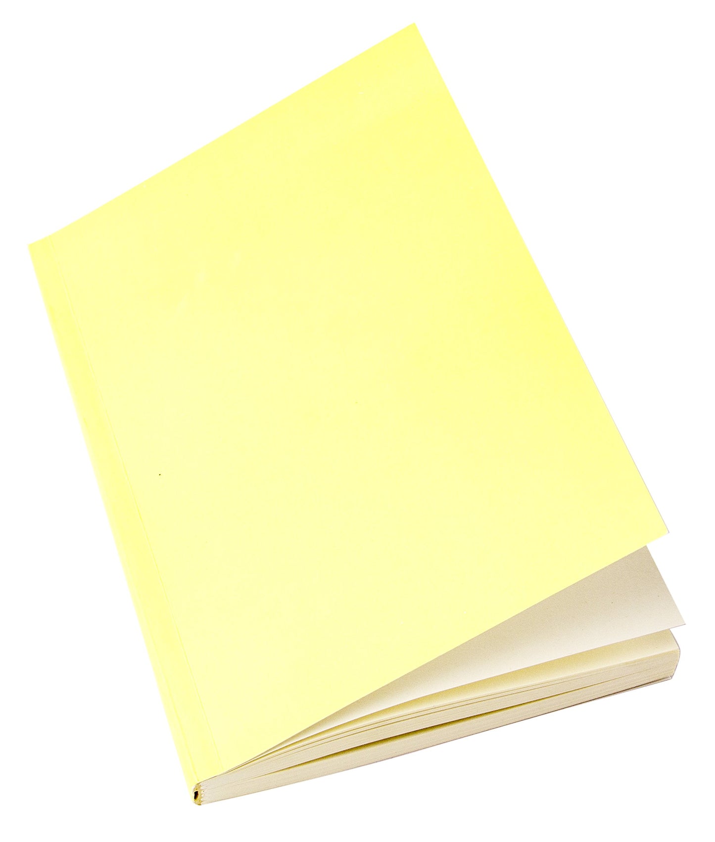 5x7 inch journal refill with 240 plain pages