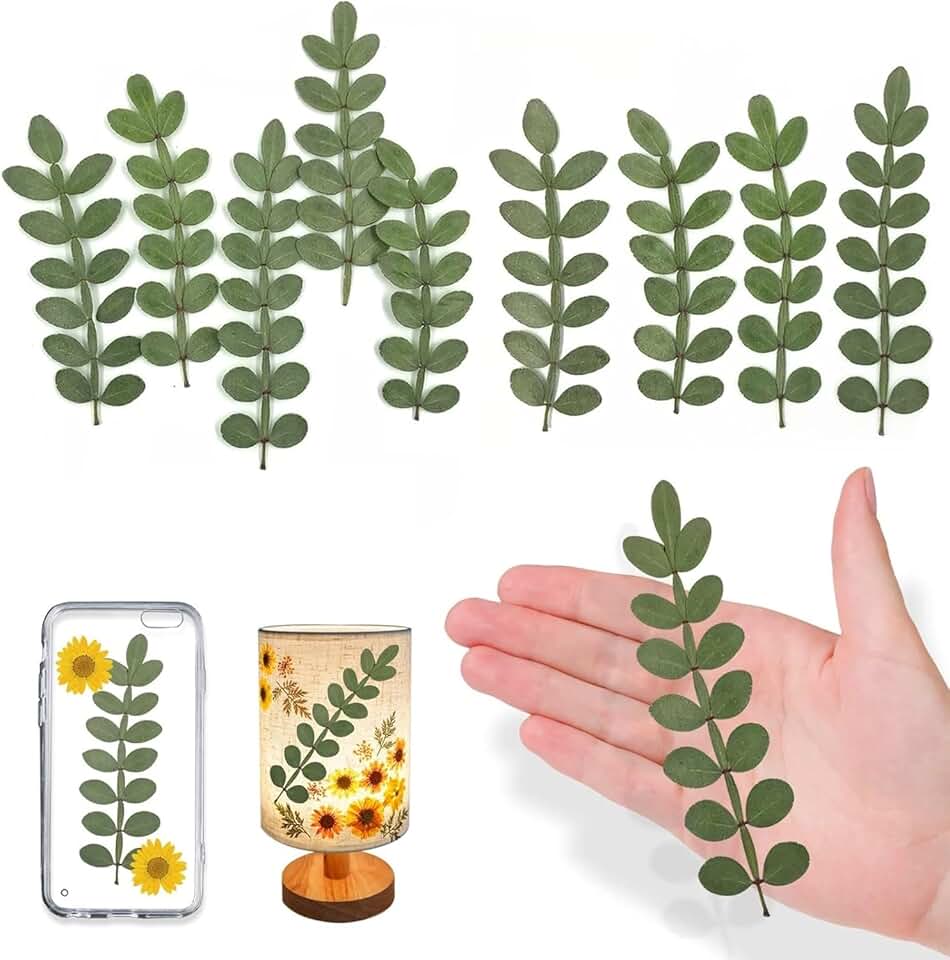 Pressed dried prickly leaves for resin crafts, 42 pcs