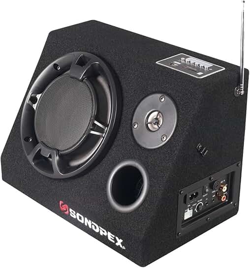 Bluetooth Active Speaker with FM Radio and Music Player