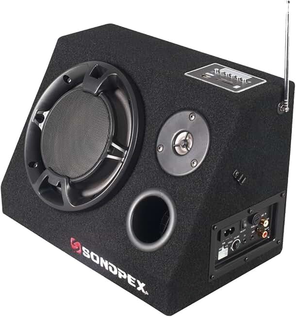 Bluetooth Active Speaker with FM Radio and Music Player