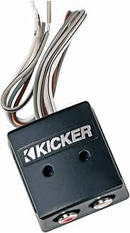 Speaker to RCA Interconnect with Line-Out Converter