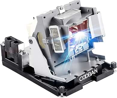 Replacement projector lamp bulb with housing for EH500 X600 DH1017 DH1014