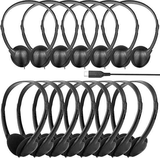 Bulk 12 On-Ear USB C Kids Headphones for School