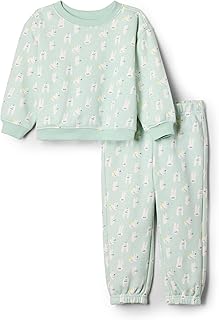 Toddler Unisex Pale Green Rabbit Sweatshirt and Pants Set