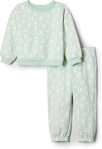 Toddler Unisex Pale Green Rabbit Sweatshirt and Pants Set