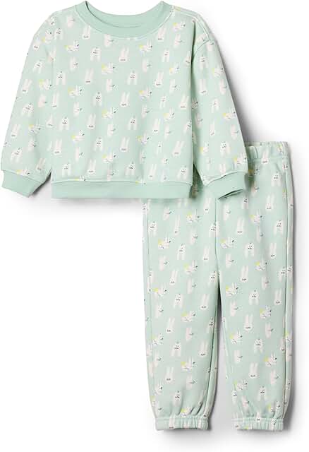 Toddler Unisex Pale Green Rabbit Sweatshirt and Pants Set