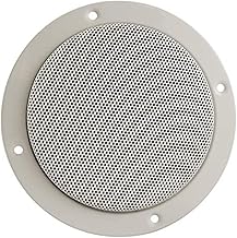 Dual Cone 5.25-Inch Entry Level Speaker with Tweeter