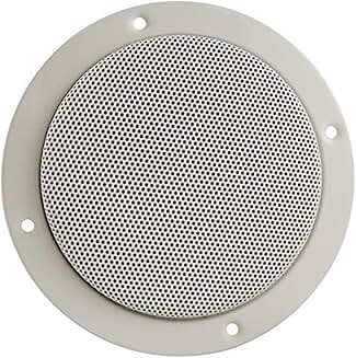 Dual Cone 5.25-Inch Entry Level Speaker with Tweeter