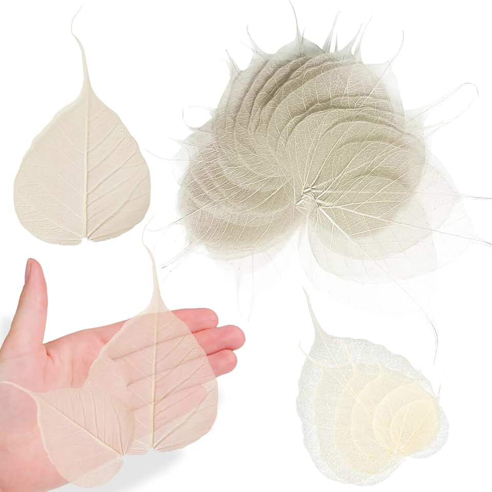 42 Dried Skeleton Leaves for Resin and Craft Projects