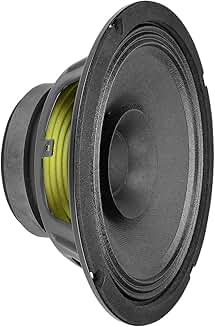8-Inch Full Range Speaker, 8 Ohms, 250W Power