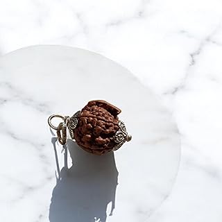 Natural Rudraksha Bead for Spiritual Growth and Protection