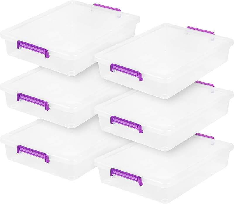 Set of 6 Clear Plastic Storage Bins with Lids