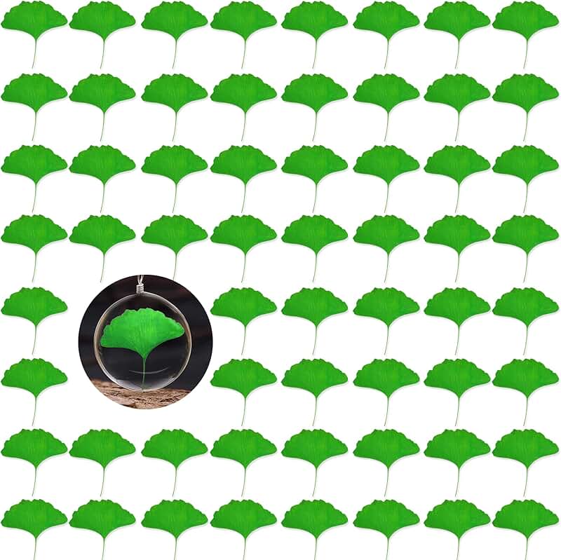 42 Pieces of Green Dried Pressed Flowers and Leaves