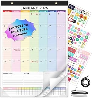 Magnetic 2025-2026 Wall and Desk Calendar