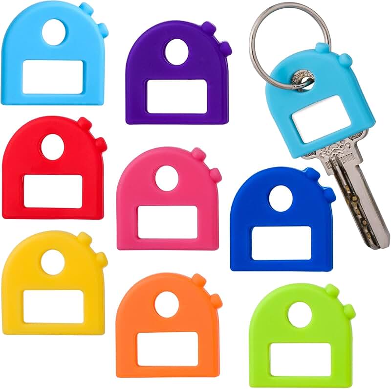Set of 8 Colorful Silicone Key Labels with Blank and Printed Tags