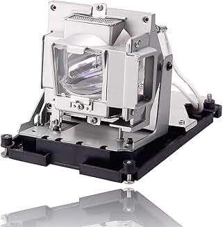 Projector Lamp with Housing for TH1060P and SP840