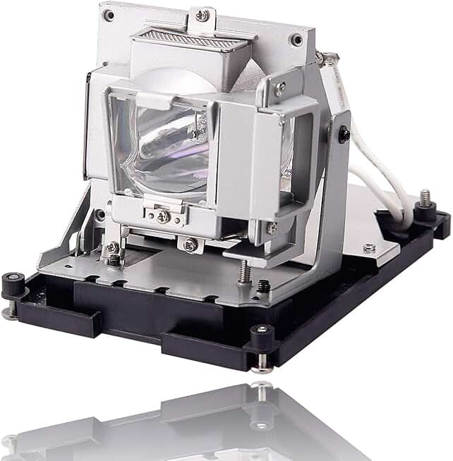 Projector Lamp with Housing for TH1060P and SP840