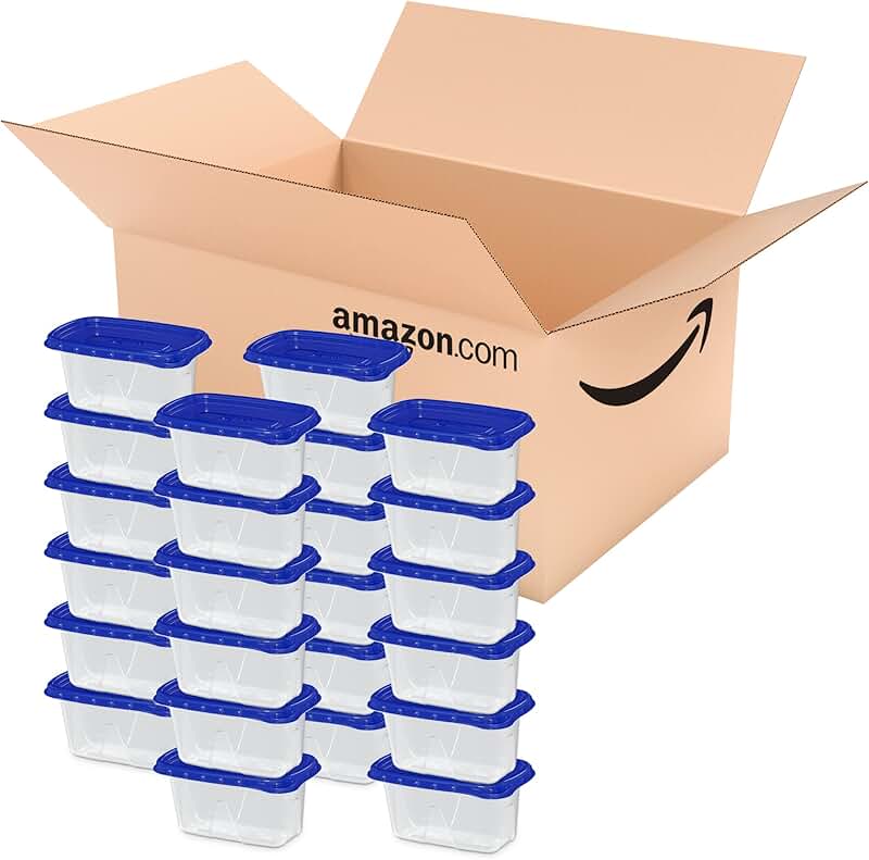 24 Reusable Mini Rectangle Food Storage Containers